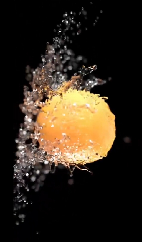 물과 오렌지 미리보기